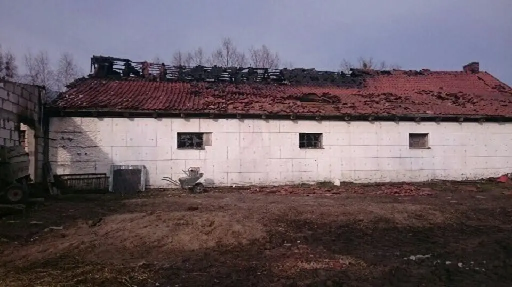 Pożar chlewni pod Pasłękiem