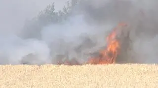 Pożar zboża w okolicy Gostynia