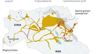 Pozostałości tzw. Państwa Islamskiego w Iraku i Syrii 