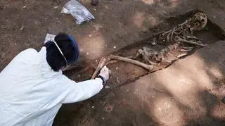 Prace archeologiczne na gdańskim cmentarzu