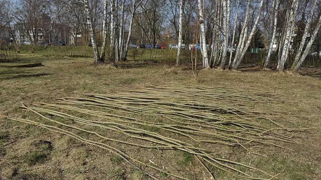 Prace wciąż trwają