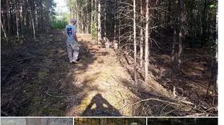 Pracownicy schroniska apelują do facebookowiczów o udostępnianie wiadomości o psiaku