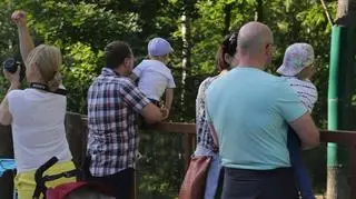 Pracownicy zoo pytają czy musi dojść do tragedii, by nie dochodziło do takich zachowań