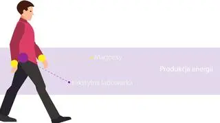Prąd mają generować magnesy na nadgarstkach 
