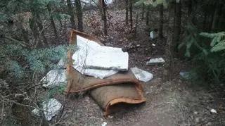 Prawdopodobnie mężczyzna ukrywał się w lesie pod Głuchołazami