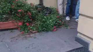 Prawdopodobnie spadły przez silny wiatr