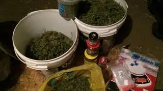 Prawie 4 kilogramy marihuany