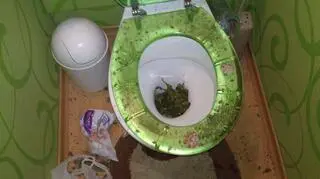 Próbowali pozbyć się marihuany w toalecie