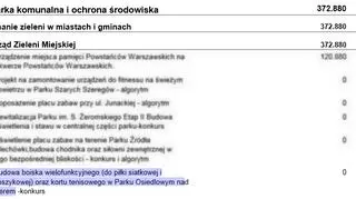 Projekt budżetu na 2016 rok - z uwzględnioną rozbudową boiska