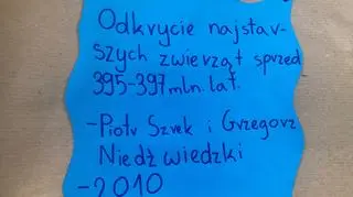 Projekt "Polska może być dumna z…" w wykonaniu uczniów Bednarskiej Szkoły Podstawowej 