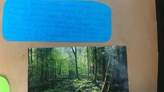 Projekt "Polska może być dumna z…" w wykonaniu uczniów Bednarskiej Szkoły Podstawowej 