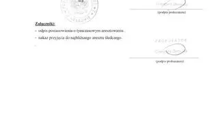 Prokuratura zarzuca Wilkowi, że uderzył pokrzywdzonego pięścią w twarz i okolice szyi, a następnie przewrócił go na żywopłot i zadał mu 10 ciosów w okolicy głowy