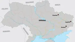 Prorosyjscy demonstranci aktywni są na wschodzie kraju