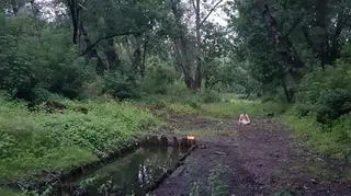 Przed pokazem butoh
