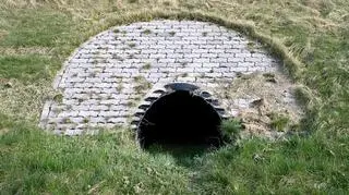 Przejście dla małych zwierząt pod jezdnią