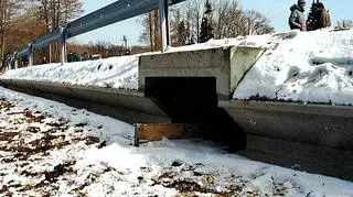 Przepusty dla płazów