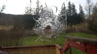Przestrzelina w szybie, zdjęcie wykonane tuż po zdarzeniu