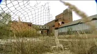 Przyczyną dzisiejszych problemów Wapna jest zalanie kopani soli z 1977r.