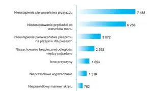 Przyczyny wypadków z winy kierujących (dane z 2018 roku)