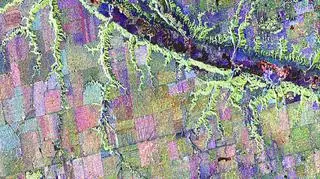Przykładowe ujęcie uzyskane na podstawie danych z RADARSAT-2. W tym wypadku obraz specjalnei skomponowano tak, aby było widać pola i rosnące na nich rośliny
