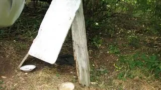 Psia buda i puste miski