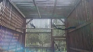 Ptaki odebrali pracownicy gminy