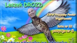 Ptako-kandydat Drozd