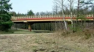 Pzejście dla dużych ssaków: jeleni, danieli i dzików
