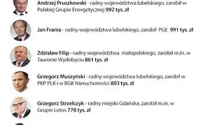 Radni PiS z całej Polski zarobili w ostatnich latach miliony złotych
