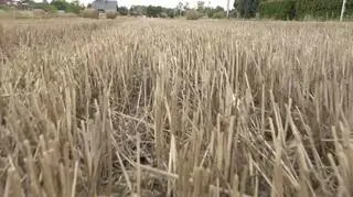 Radny: ziemię uprawiamy od 30 lat