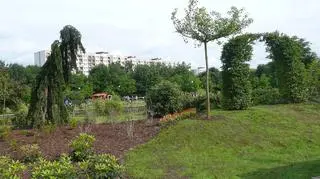 Raj Pawła Althamera