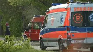 Ratownicy próbowali reanimować kierowcę