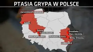 Recently recorded outbreaks of bird flu virus in Poland