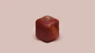 Renhui Zhao, A Guide to the Flora and Fauna of the World, square apple, Grand Prix Fotofestiwal 2014