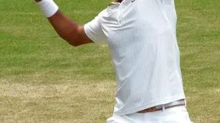 Roger Federer / Wikipedia Squaky Knees