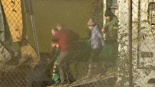 Rozładunek skrzyni z agresywnym tygrysem