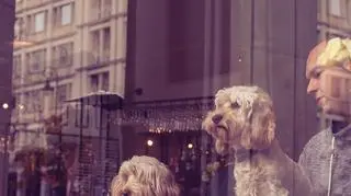 Rufus i jego "brat bliźniak" z nowymi właścicielami