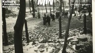 Ruiny Wartowni nr 5. Nie widać już grobów. Zdjęcie z zimy 1939/40