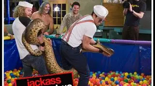 Ryan Dunn w akcji na planie "Jackass" (fot. MTV)