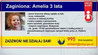 Rysopis porwanej Amelki