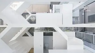 S-House