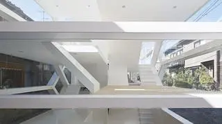 S-House