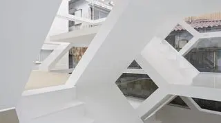 S-House