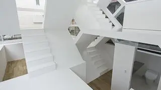 S-House