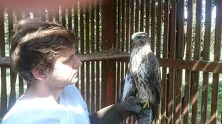 "Są bardzo przyzwyczajone do człowieka"