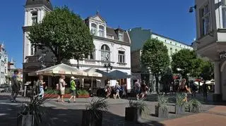 Są też mniejsze donice 