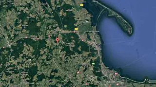 Saba przebywa w schronisku w Dąbrówce