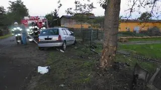 Samochód osobowy uderzył w dzrewo