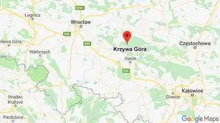 Samochód spłonął w okolicy miejscowości Krzywa Góra