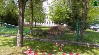 Samochód staranował również ogrodzenie